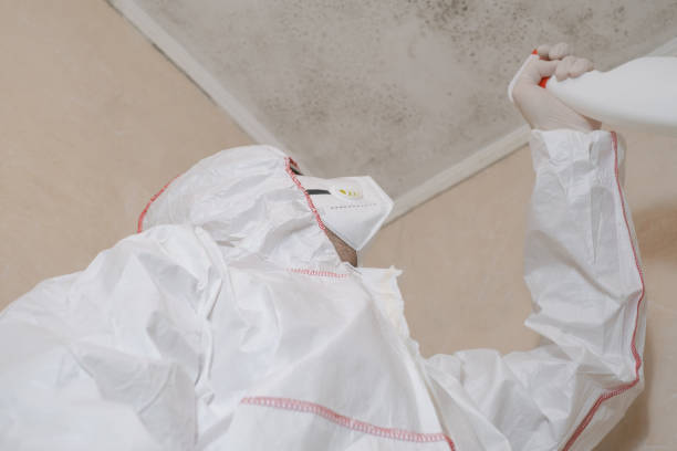 Best Commercial Mold Removal  in Chase, PA
