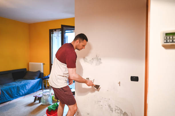 Best Crawl Space Mold Removal  in Chase, PA